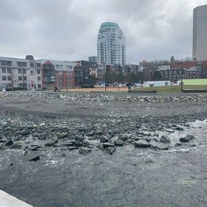 Meet your Posher, Brooklyn